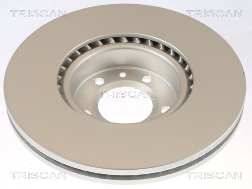 Brake Disc TRISCAN 8120101089C 2