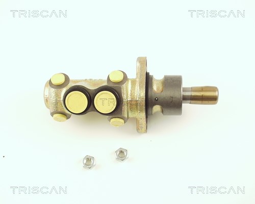 Brake Master Cylinder TRISCAN 813029123