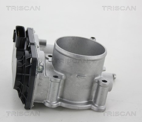 Throttle Body TRISCAN 882013001
