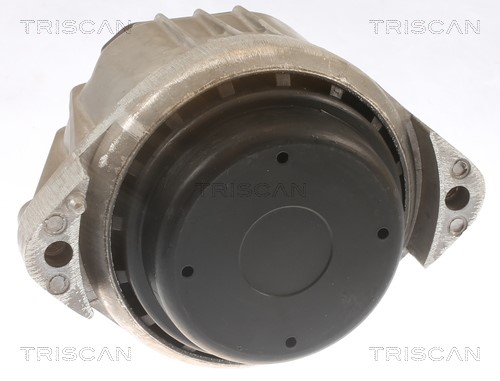 Mounting, engine TRISCAN 850511105 2