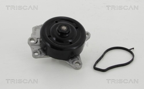 Water Pump, engine cooling TRISCAN 860010022