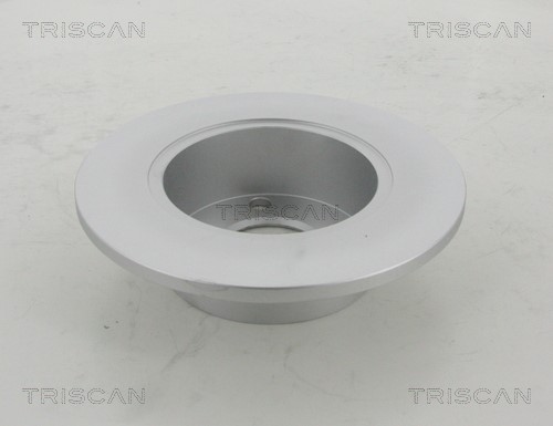 Brake Disc TRISCAN 812029109C 2
