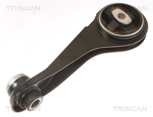 Mounting, engine TRISCAN 850525125 3