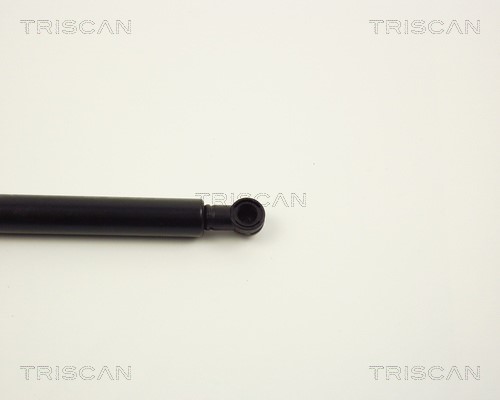 Linkage Damper, injection system TRISCAN 87102307 3