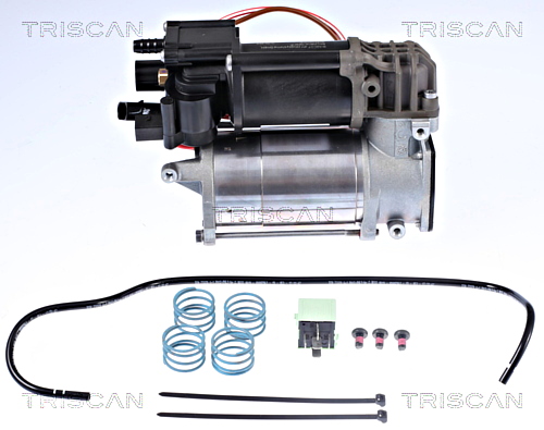 Compressor, compressed air system TRISCAN 872511101