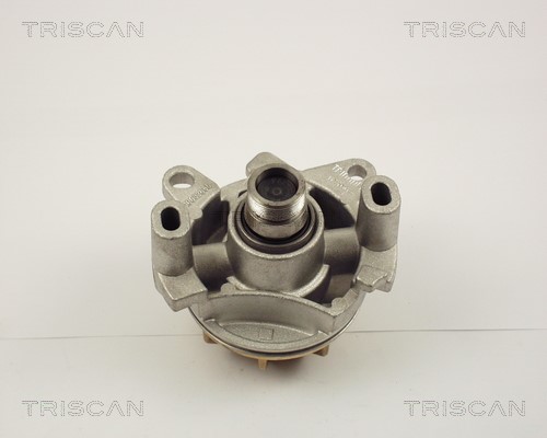 Water Pump, engine cooling TRISCAN 860010017