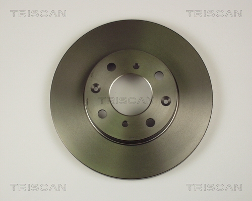 Brake Disc TRISCAN 812040103