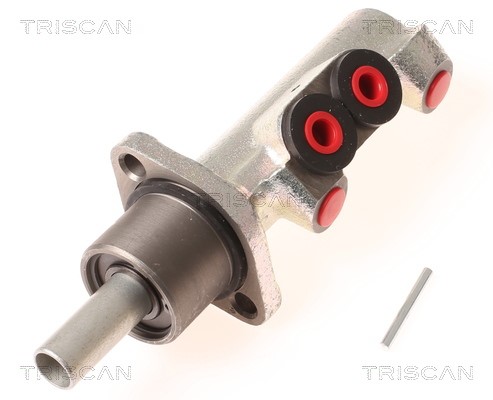 Brake Master Cylinder TRISCAN 813010113