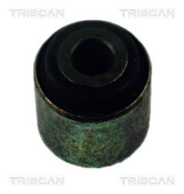 Mounting, control/trailing arm TRISCAN 850025801