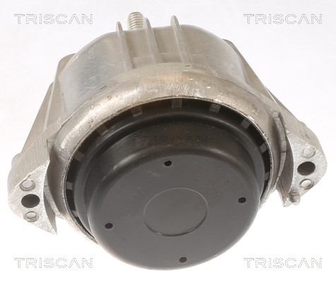 Mounting, engine TRISCAN 850511106 2