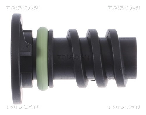 Screw Plug, oil sump TRISCAN 95002302