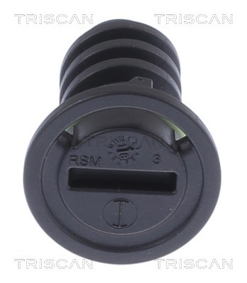 Screw Plug, oil sump TRISCAN 95002302 2