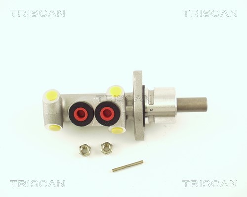 Brake Master Cylinder TRISCAN 813029144