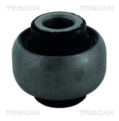 Mounting, control/trailing arm TRISCAN 850038816