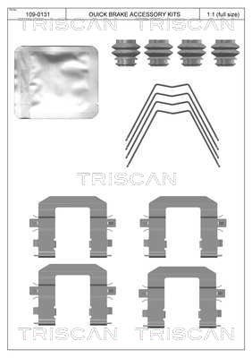 Accessory Kit, disc brake pad TRISCAN 8105431663