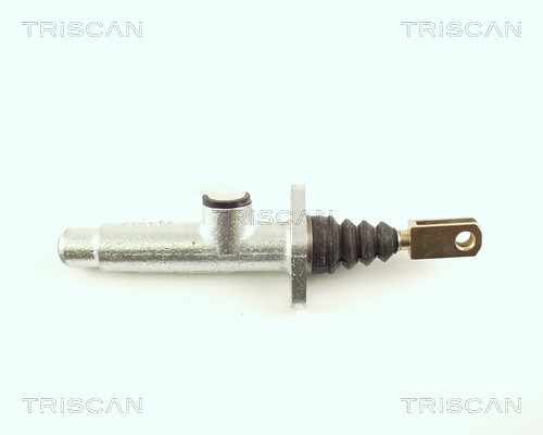 Master Cylinder, clutch TRISCAN 813015201