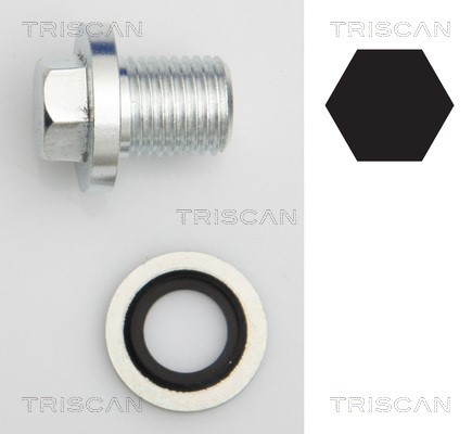 Screw Plug, oil sump TRISCAN 95001008