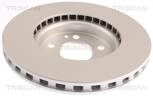 Brake Disc TRISCAN 8120111056C 2