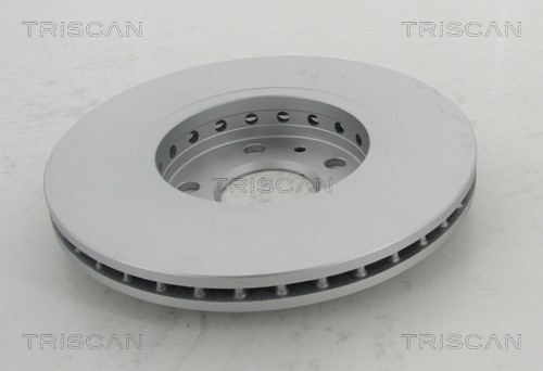 Brake Disc TRISCAN 812025156C 2
