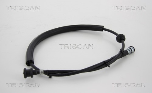 Speedometer Cable TRISCAN 814010404