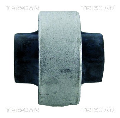 Mounting, control/trailing arm TRISCAN 850015824