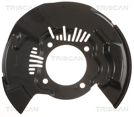 Splash Panel, brake disc TRISCAN 812513110