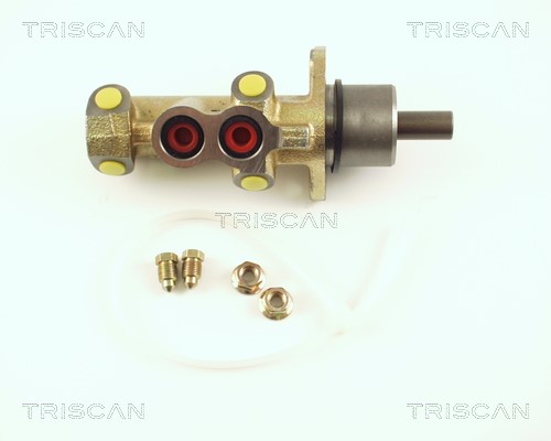 Brake Master Cylinder TRISCAN 813028121