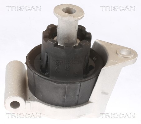 Mounting, engine TRISCAN 850524103 2