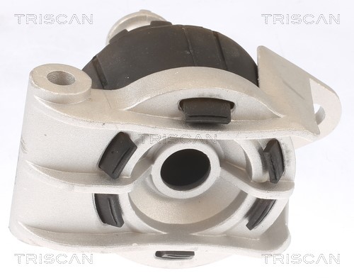 Mounting, engine TRISCAN 850524103 3