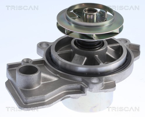 Water Pump, engine cooling TRISCAN 860029084