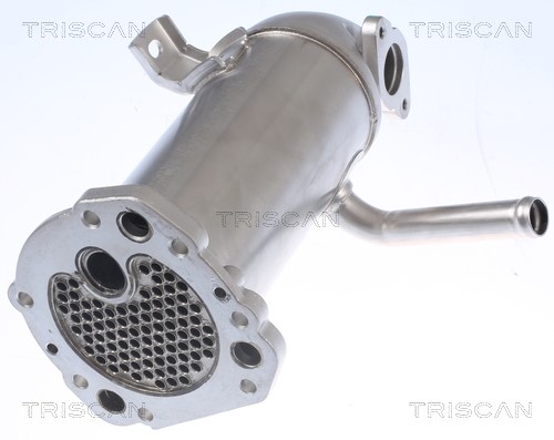 Cooler, exhaust gas recirculation TRISCAN 881316114 2