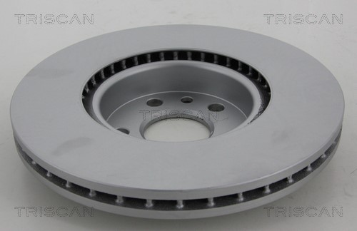 Brake Disc TRISCAN 812016148C 2