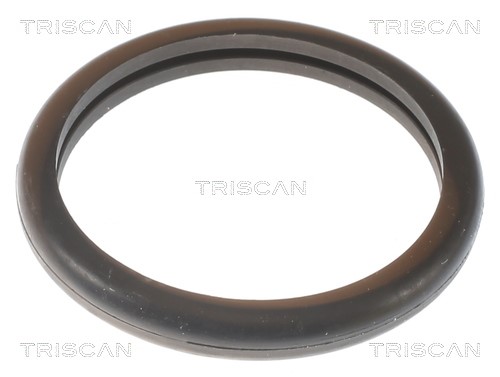 Thermostat, coolant TRISCAN 862010691 4