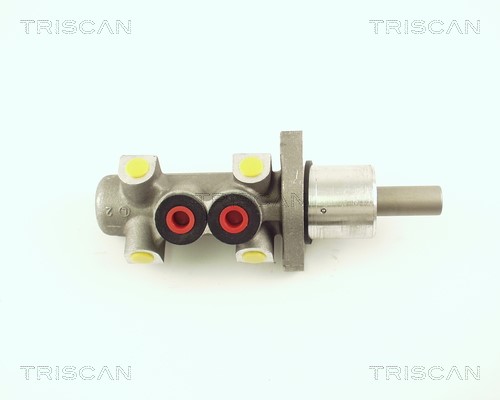 Brake Master Cylinder TRISCAN 813029138