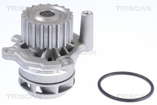 Water Pump, engine cooling TRISCAN 860029013 2
