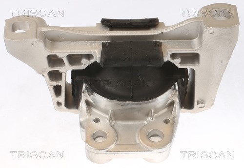 Mounting, engine TRISCAN 850510100 2