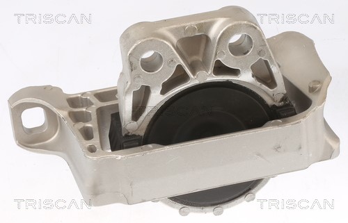 Mounting, engine TRISCAN 850510100 3