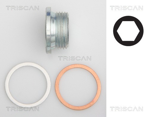 Screw Plug, oil sump TRISCAN 95001018