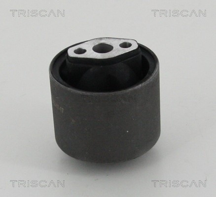 Mounting, control/trailing arm TRISCAN 850024881