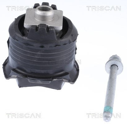 Repair Kit, control arm TRISCAN 850023806