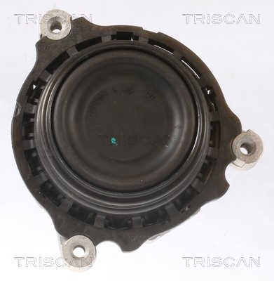 Mounting, engine TRISCAN 850511108 2