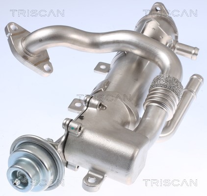 Cooler, exhaust gas recirculation TRISCAN 881329329 2