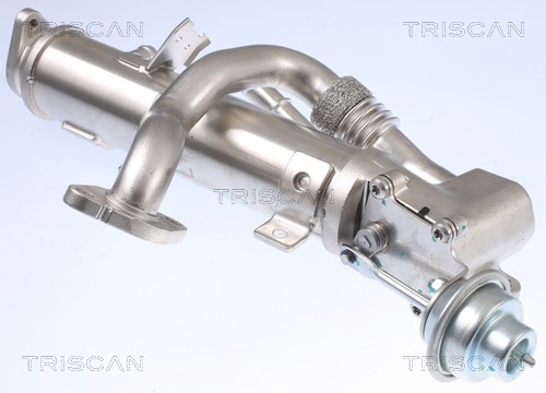 Cooler, exhaust gas recirculation TRISCAN 881329329 3