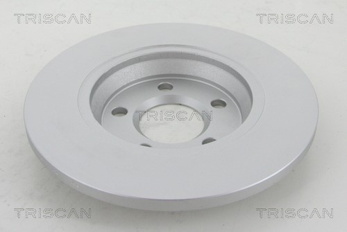 Brake Disc TRISCAN 812010174C 2