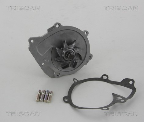 Water Pump, engine cooling TRISCAN 860013993 2