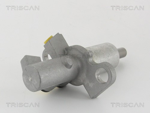 Brake Master Cylinder TRISCAN 813029172 2