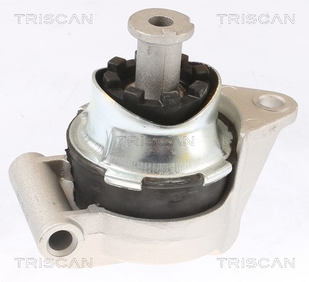 Mounting, engine TRISCAN 850524117