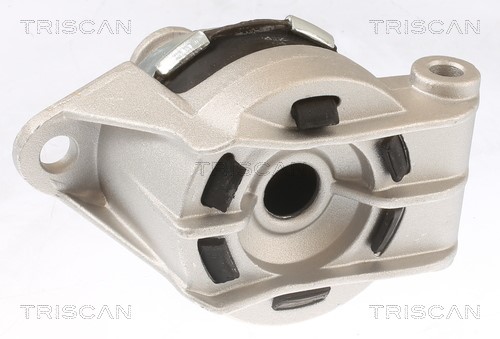 Mounting, engine TRISCAN 850524117 2