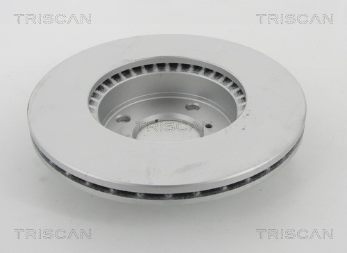Brake Disc TRISCAN 812069112C 2