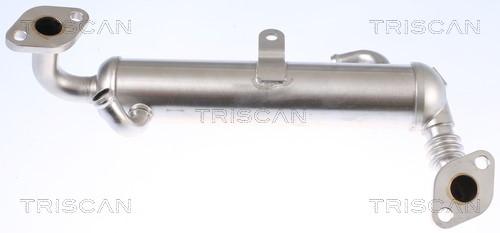 Cooler, exhaust gas recirculation TRISCAN 881324106 2